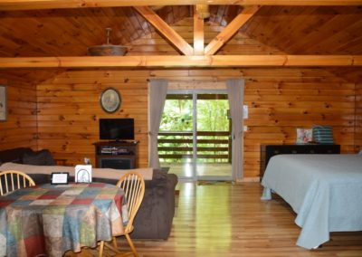 living area and bed in The Overlook log cabin