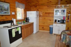 kitchen in The Overlook log cabin