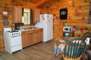 kitchen in The Lakota Cabin