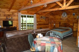living area in The Lakota Cabin