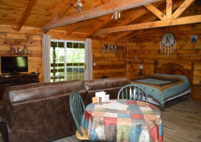 living area in The Lakota Cabin
